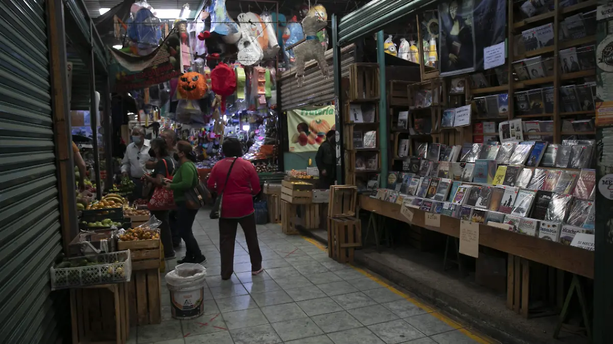 Libreria Mercado San Juan-IAV-2